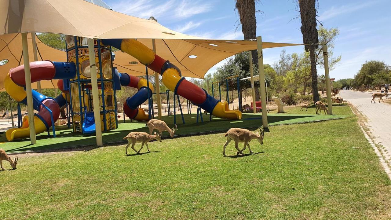 Shoshanat Hamidbar Midreshet Ben Gurion Exterior photo