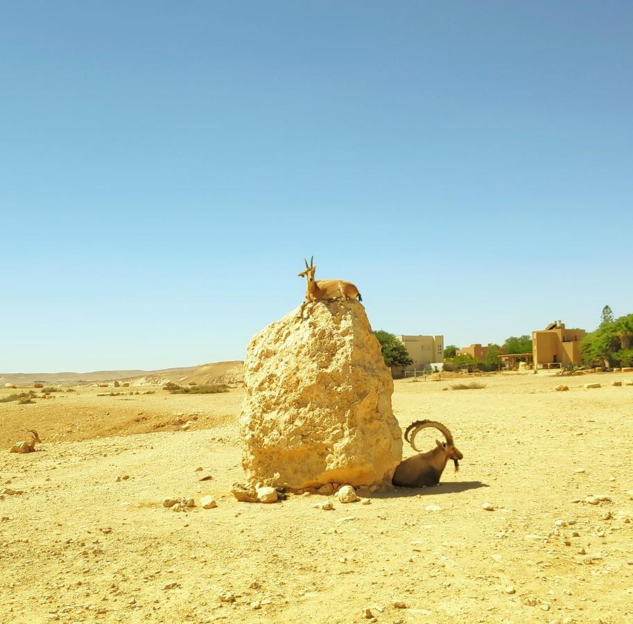 Shoshanat Hamidbar Midreshet Ben Gurion Exterior photo